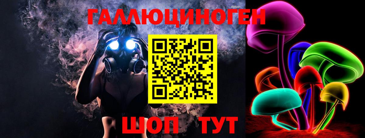 Псилоцибиновые грибы Psilocybine cubensis Медногорск
