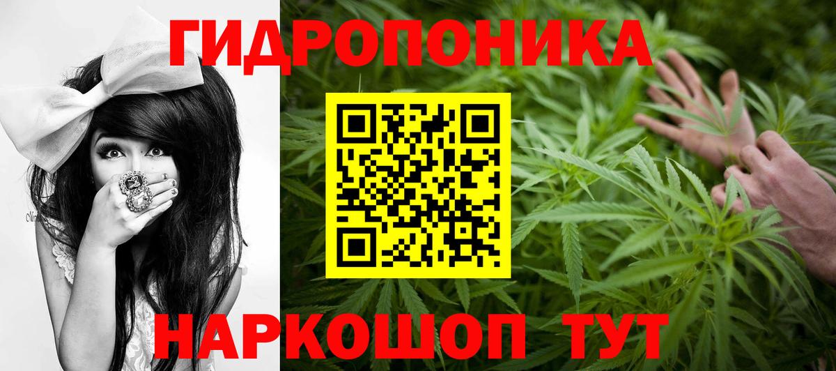 Бошки марихуана ГИДРОПОН Медногорск